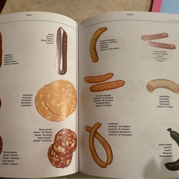 5-Language Visual Dictionary - Picture 3 of 5